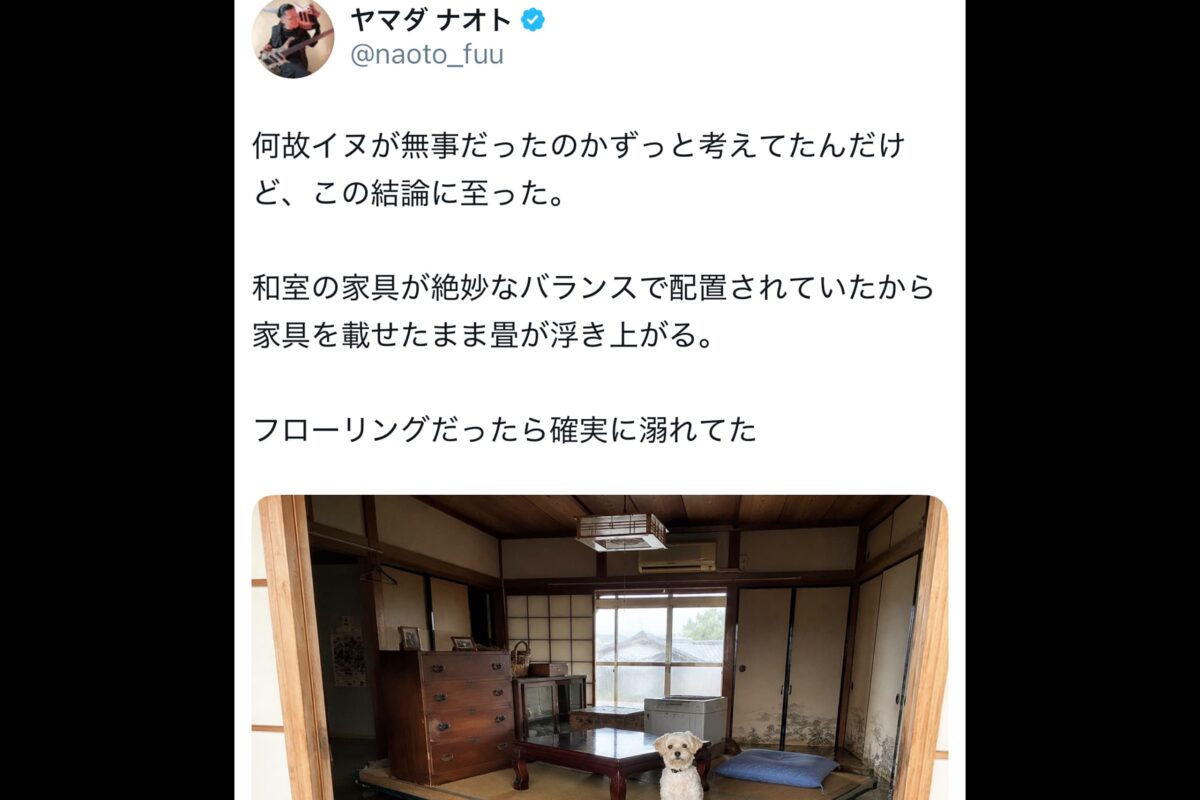 ヤマダナオトX