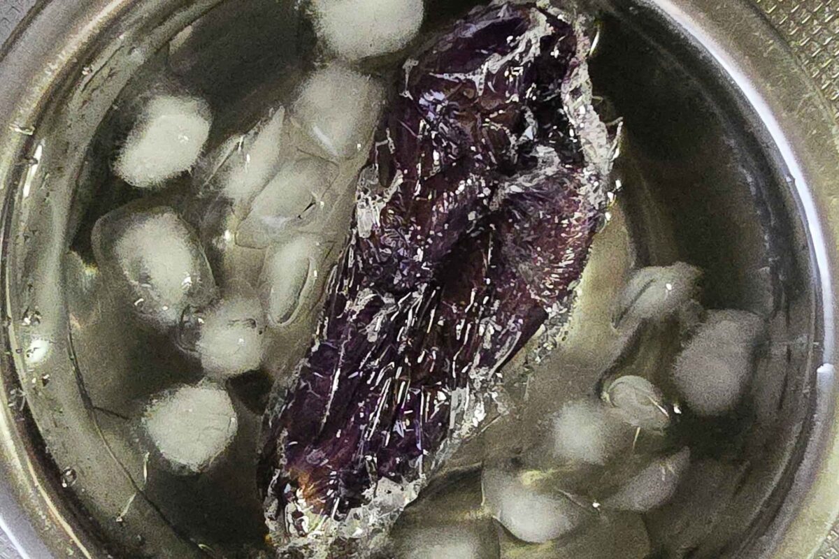 とろナス柚子胡椒つけダレそうめん