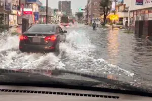 冠水した道路を通過するとき“1番ダメな方法”　「車の知識がなければない人ほど…」「やっちゃう人が多い」