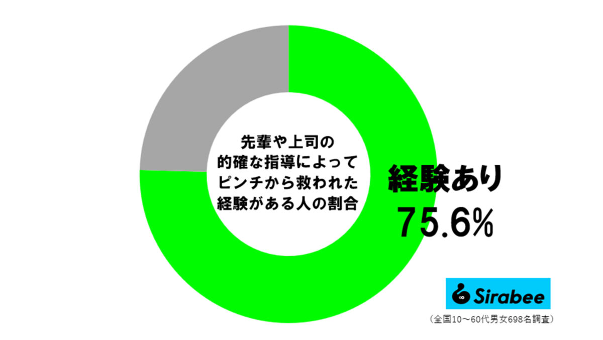 上司・先輩調査