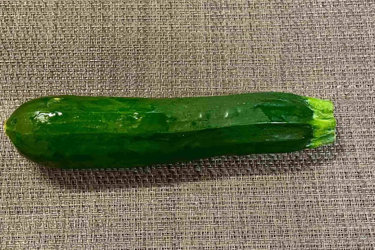 sirabee20260829zucchini1