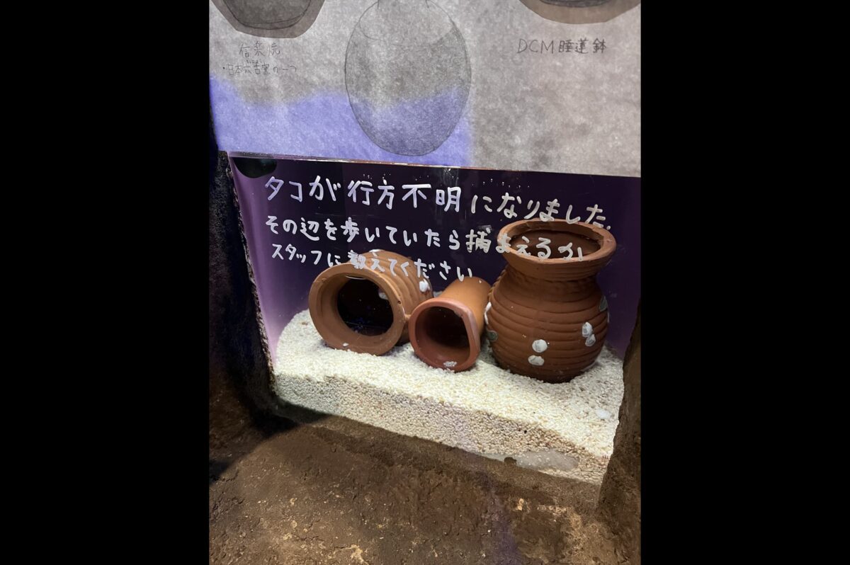もぐらんぴあ水族館