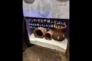 水族館から脱走した“ある生き物”が話題に　「その辺を歩いていたら…」捕獲お願いも「難度高そう」