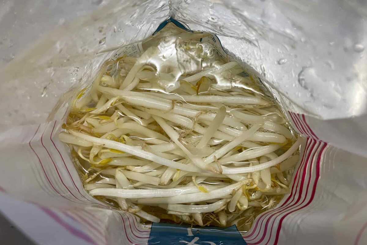焼きもやし