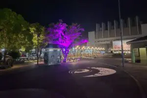 sirabee20260918sakaiminato6