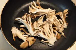 sirabee20260924maitake2