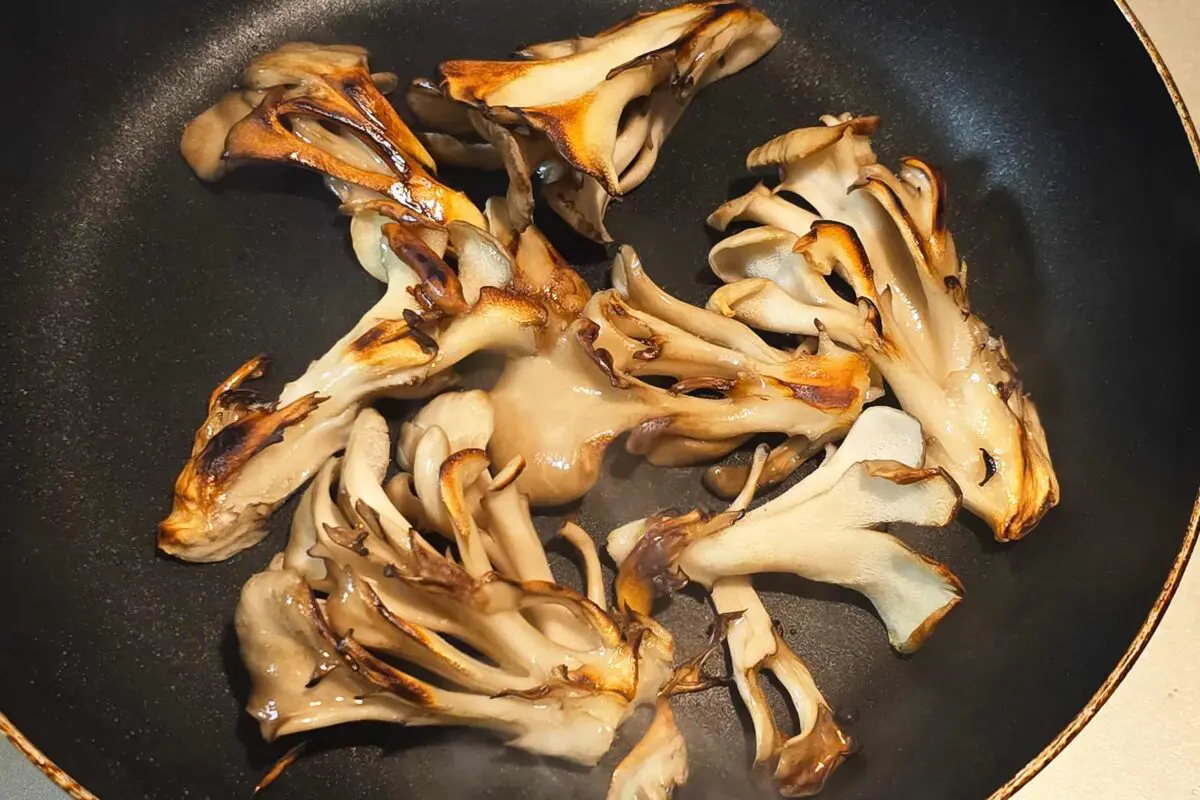 sirabee20260924maitake3