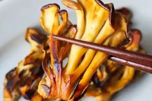 sirabee20260924maitake7