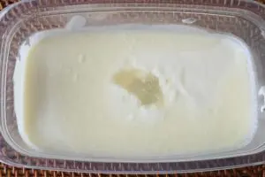 sirabee20260929yoghourt6