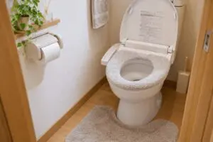 堂本剛、トイレに“コレ”がある家に抵抗感…　じつは4割超が「めちゃくちゃ苦手」