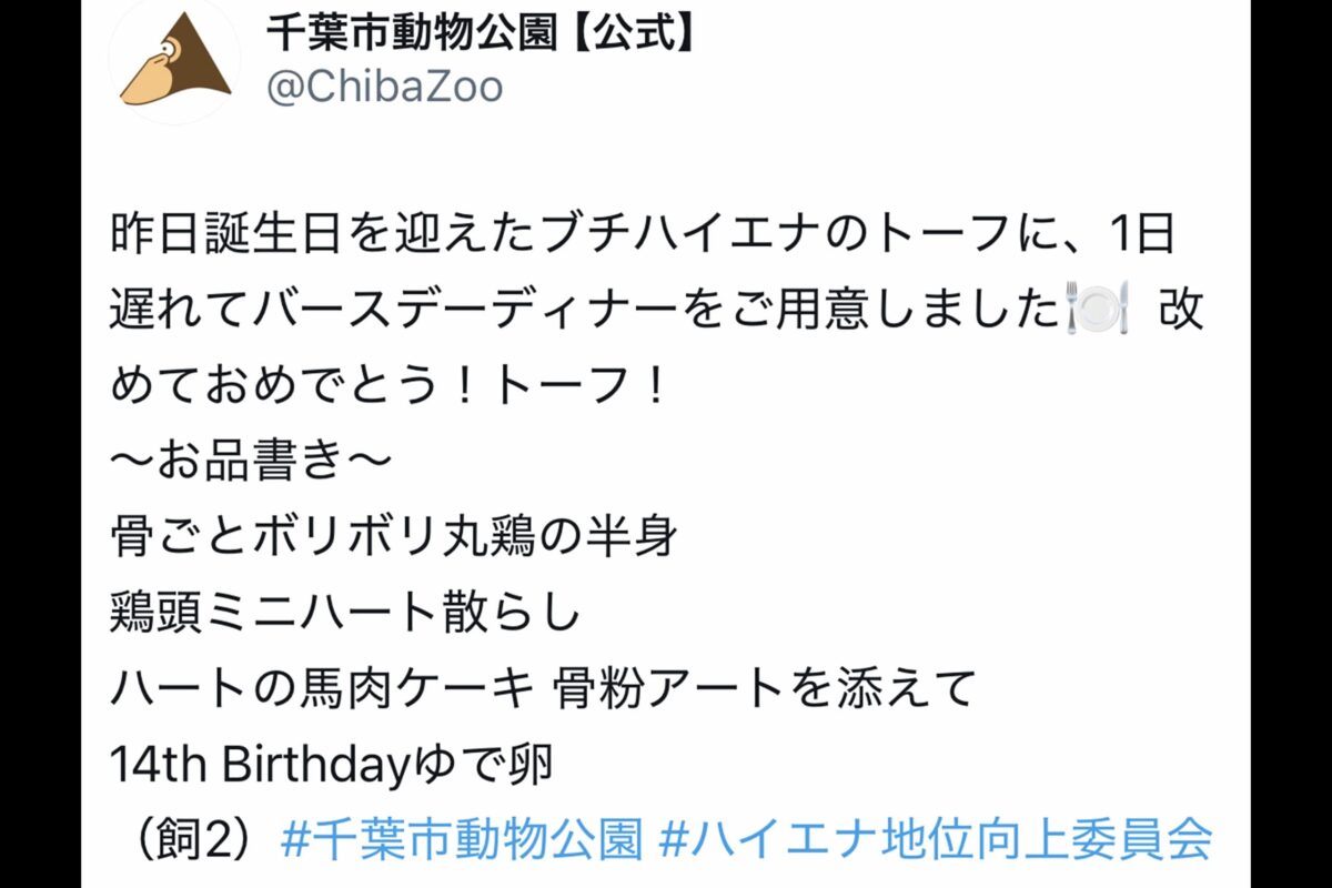 千葉市動物公園【公式】