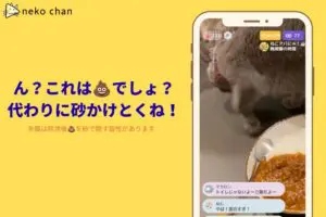 sirabee20261015nekochan2