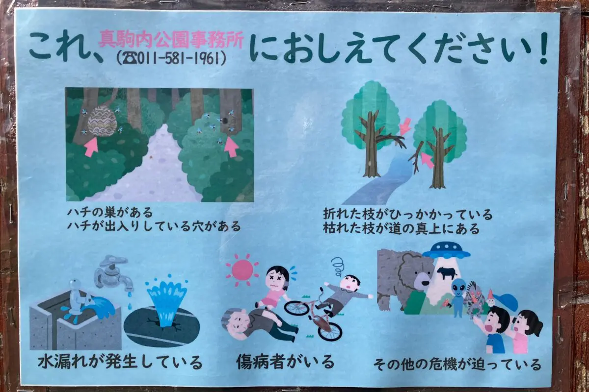 sirabee20261016makomanai