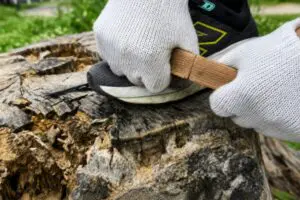 sirabee20261018multitool7