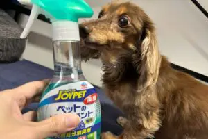 愛犬に消臭スプレーかける飼い主、犬が見せた反応に「虐待では」と疑問の声　メーカーと獣医師に見解を聞いた