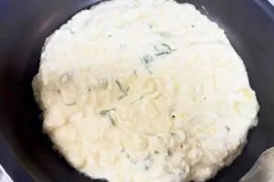 sirabee20261019tofu7