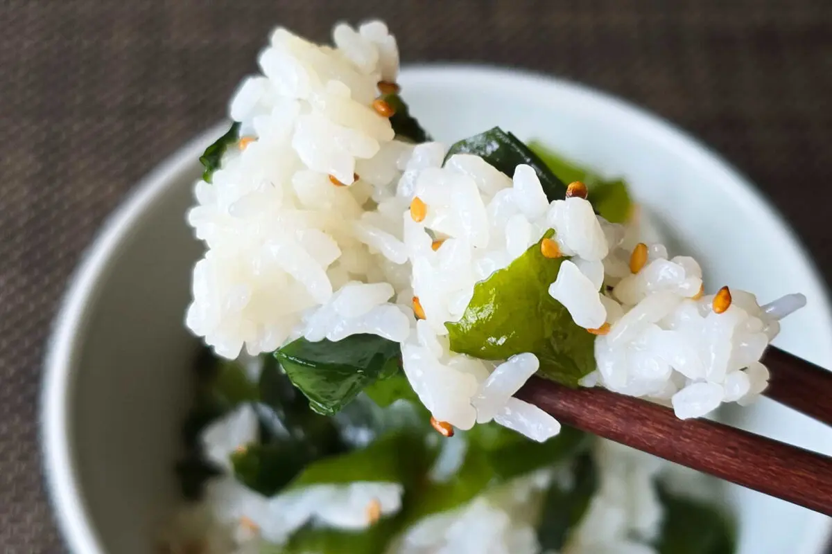sirabee20261022wakame10