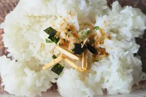 sirabee20261022wakame3