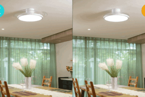 sirabee20261023lumoair10