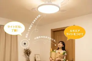 sirabee20261023lumoair3