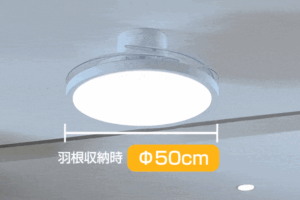sirabee20261023lumoair5