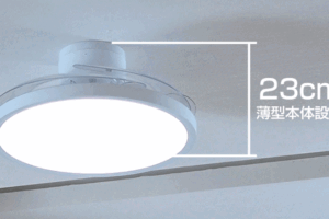 sirabee20261023lumoair6