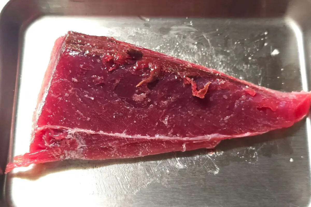 sirabee20261029katsuo2