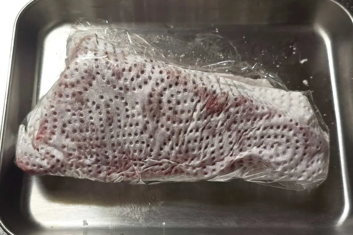 sirabee20261029katsuo3